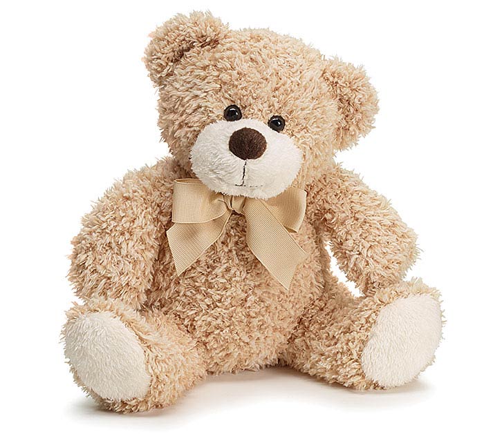 Bailey Bear 11 inch plush gift