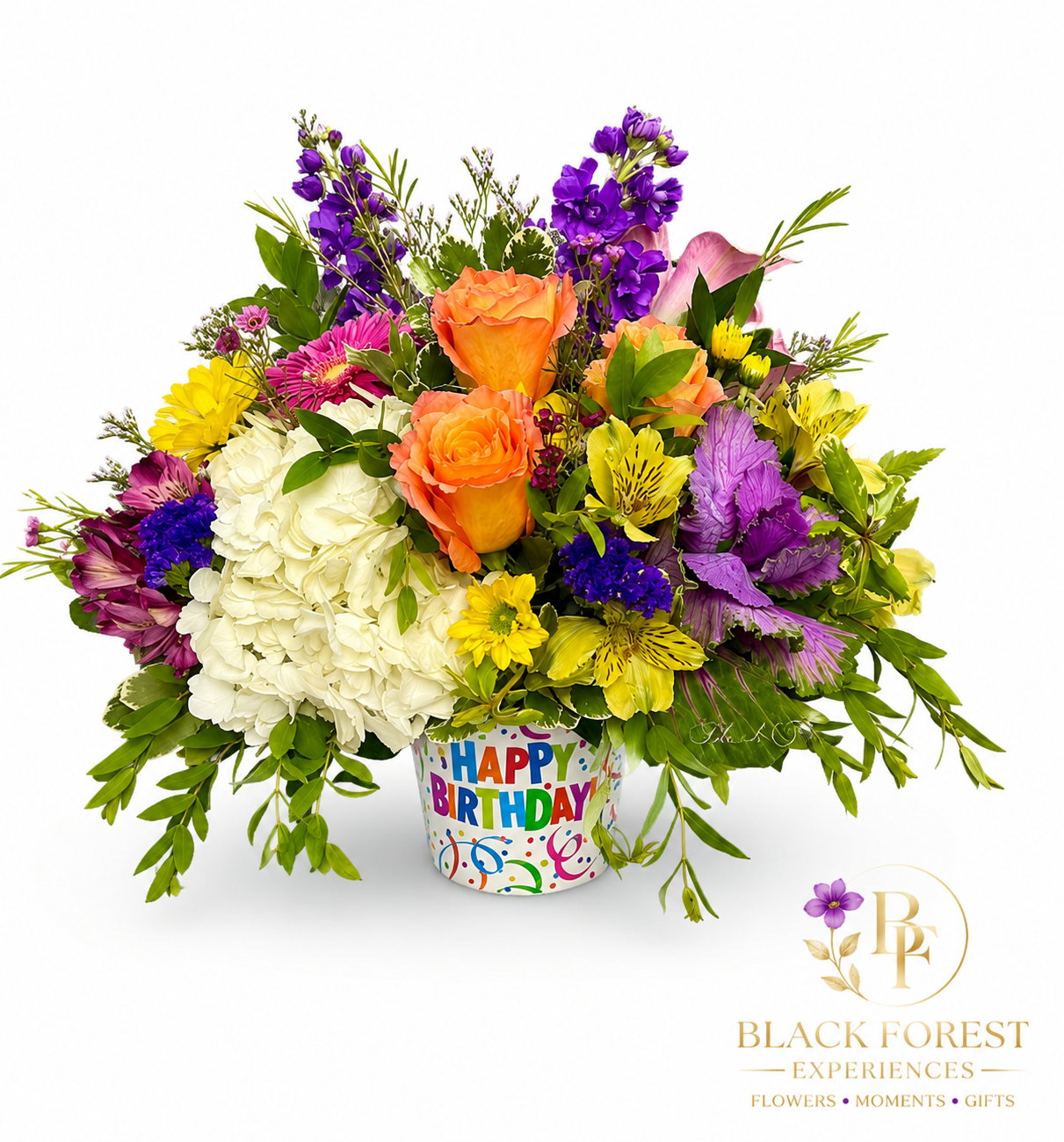 Best Birthday Wishes