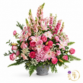 Stargazer Arrangement