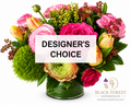 Designer's Choice