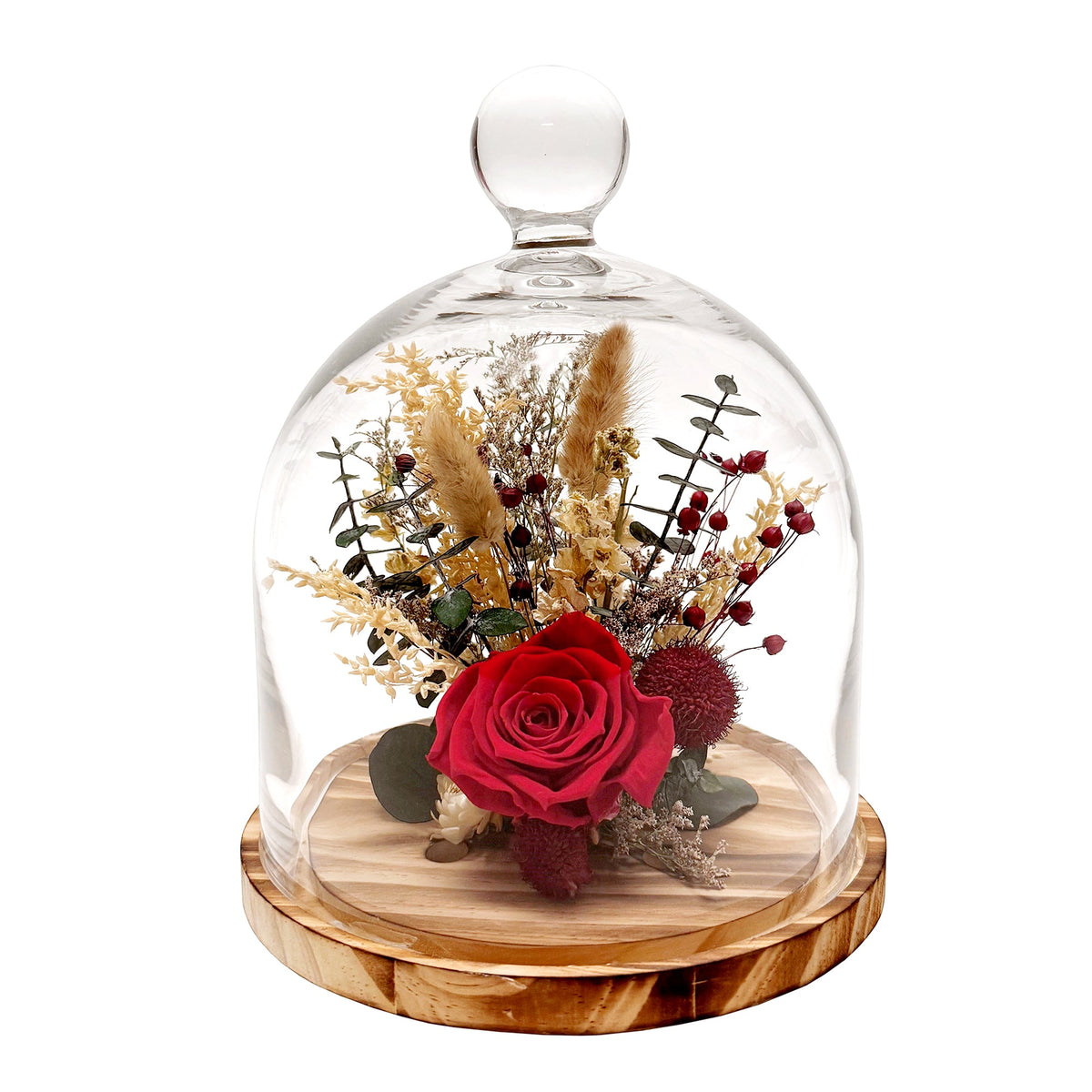 10-inch red preserved rose botanical cloche
