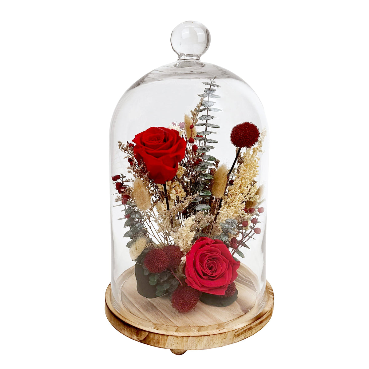 15-inch red preserved rose botanical cloche